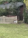 IMG_7901.jpeg