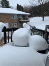 IMG_1135.jpeg IMG_1135.jpeg