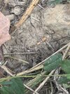 IMG_3471.jpeg