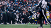 Tmac-TD-GIF2.gif