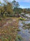 IMG_9467.jpeg