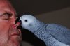 parrot_bites_nose1.jpg