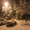 January 17 2018 snow pic 3.jpg