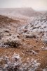 stock-photo-winter-brown-cold-snow-white-desert-valley-california-dirt-dfa7115c-52de-4717-b8bb...jpg